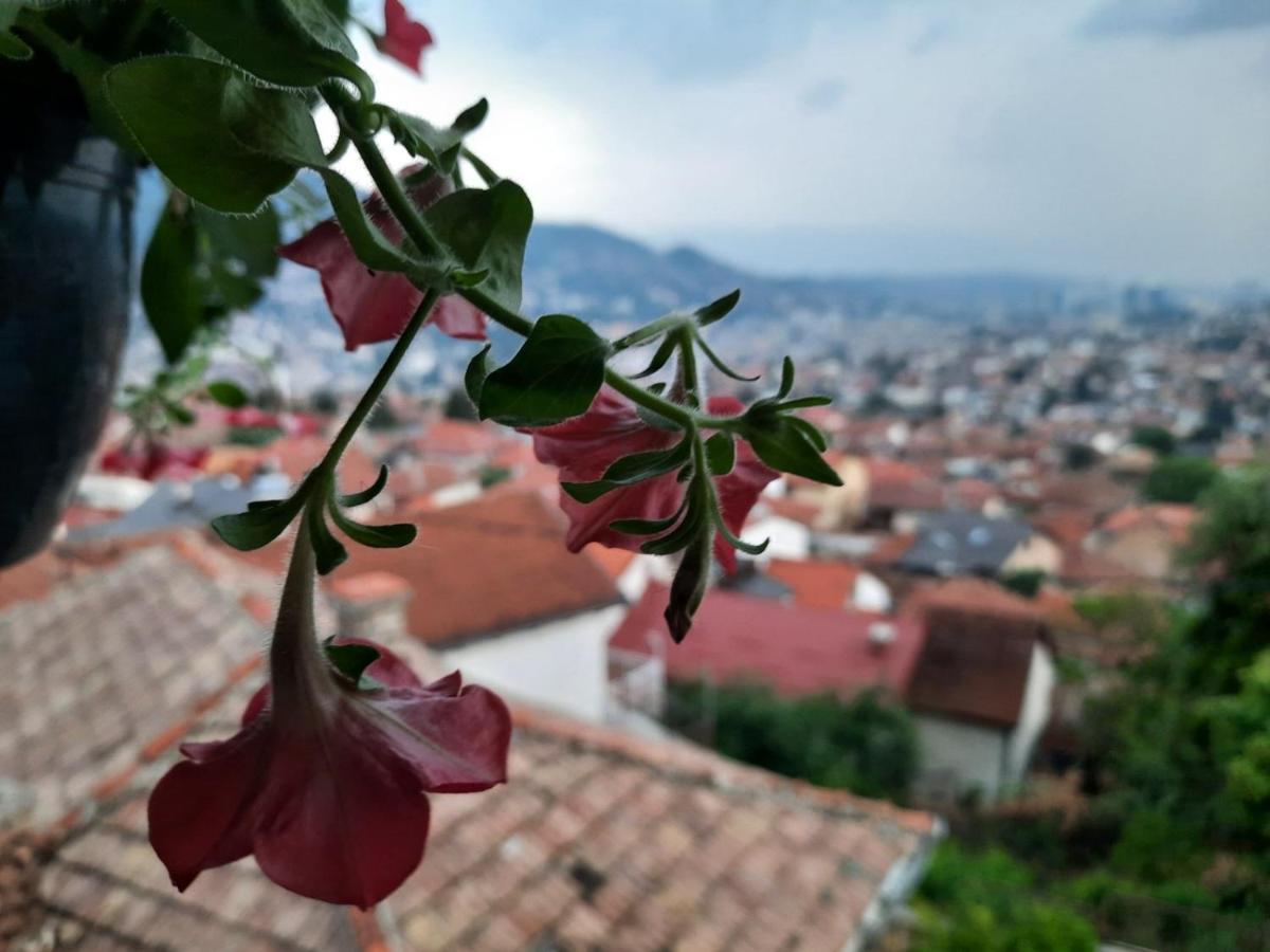 Best Terrace View In The Heart Of SJJ Exterior foto